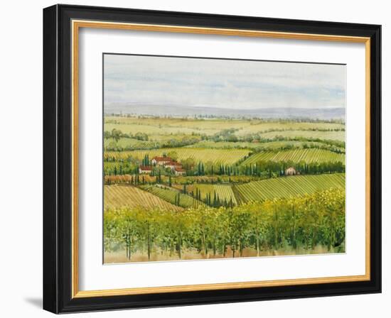 Wine Country View I-Tim O'toole-Framed Art Print