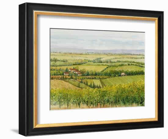 Wine Country View I-Tim O'toole-Framed Art Print