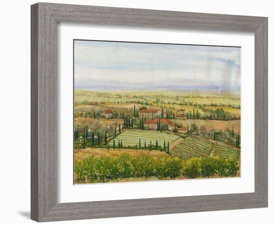 Wine Country View II-Tim O'toole-Framed Art Print