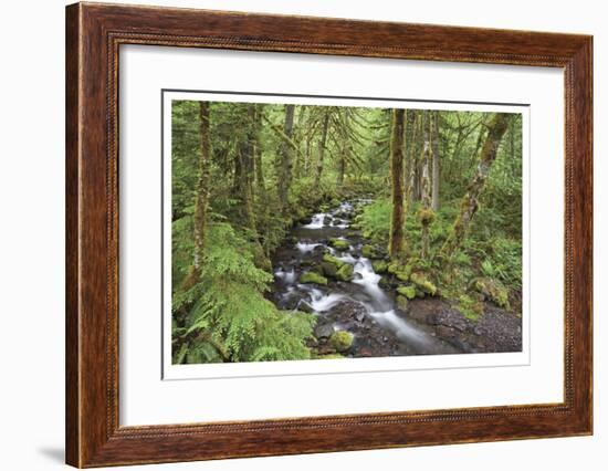 Wine Creek II-Donald Paulson-Framed Giclee Print