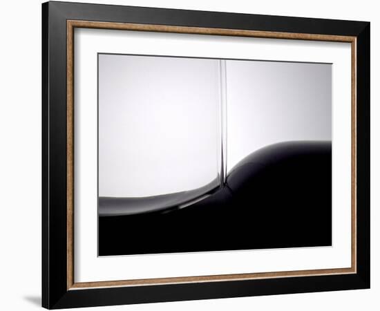 Wine Curves IV-Monika Burkhart-Framed Photographic Print