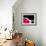 Wine Curves VII-Monika Burkhart-Framed Photographic Print displayed on a wall