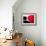 Wine Curves VIII-Monika Burkhart-Framed Photographic Print displayed on a wall