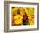 Wine Field, Chianti Region, Tuscany, Italy-Bill Bachmann-Framed Photographic Print