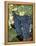 Wine Grapes, Vineyard, CA-Mark Gibson-Framed Premier Image Canvas
