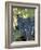 Wine Grapes, Vineyard, CA-Mark Gibson-Framed Photographic Print