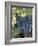 Wine Grapes, Vineyard, CA-Mark Gibson-Framed Photographic Print