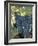 Wine Grapes, Vineyard, CA-Mark Gibson-Framed Photographic Print