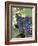 Wine Grapes-Mark Gibson-Framed Photographic Print