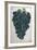 Wine Grapes-null-Framed Giclee Print