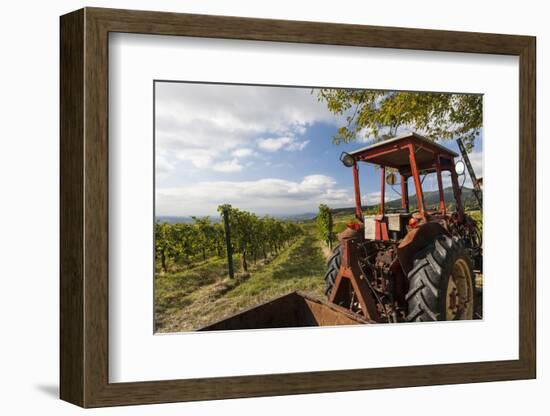 Wine-Growing Area and Tractor Between Mšdling and Gumpoldskirchen, Lower Austria, Austria-Gerhard Wild-Framed Photographic Print