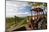 Wine-Growing Area and Tractor Between Mšdling and Gumpoldskirchen, Lower Austria, Austria-Gerhard Wild-Mounted Photographic Print