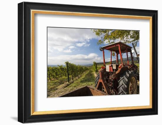 Wine-Growing Area and Tractor Between Mšdling and Gumpoldskirchen, Lower Austria, Austria-Gerhard Wild-Framed Photographic Print