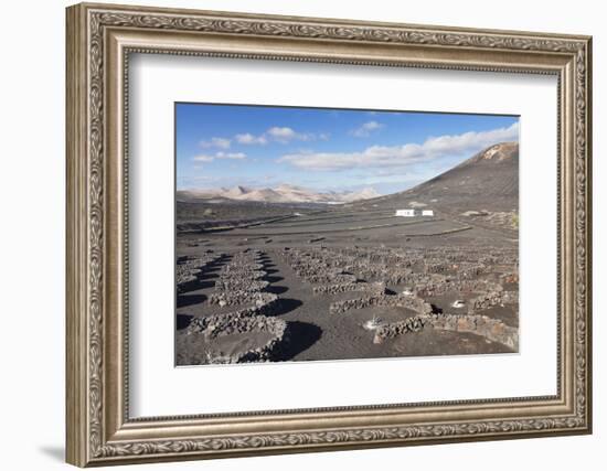 Wine Growing District La Geria, Lanzarote, Canary Islands, Spain, Atlantic, Europe-Markus Lange-Framed Photographic Print