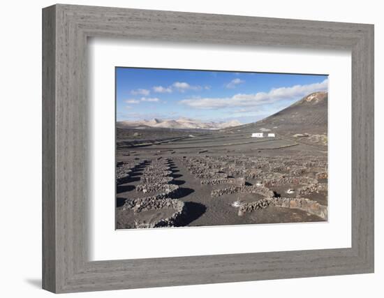 Wine Growing District La Geria, Lanzarote, Canary Islands, Spain, Atlantic, Europe-Markus Lange-Framed Photographic Print