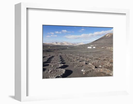 Wine Growing District La Geria, Lanzarote, Canary Islands, Spain, Atlantic, Europe-Markus Lange-Framed Photographic Print