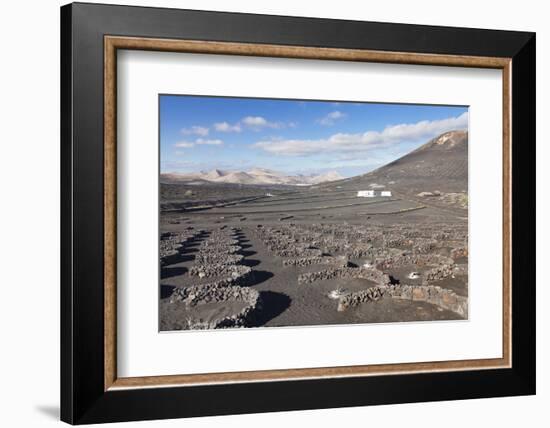 Wine Growing District La Geria, Lanzarote, Canary Islands, Spain, Atlantic, Europe-Markus Lange-Framed Photographic Print