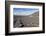 Wine Growing District La Geria, Lanzarote, Canary Islands, Spain, Atlantic, Europe-Markus Lange-Framed Photographic Print