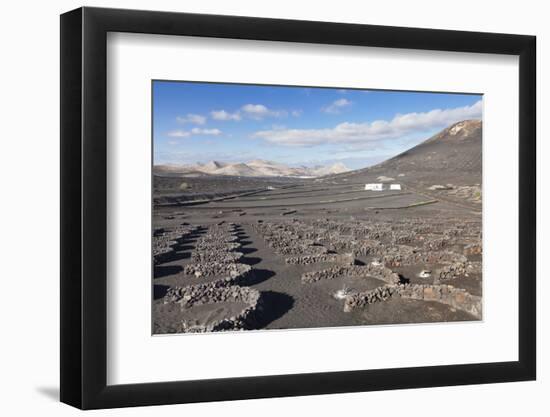 Wine Growing District La Geria, Lanzarote, Canary Islands, Spain, Atlantic, Europe-Markus Lange-Framed Photographic Print