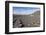 Wine Growing District La Geria, Lanzarote, Canary Islands, Spain, Atlantic, Europe-Markus Lange-Framed Photographic Print