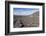 Wine Growing District La Geria, Lanzarote, Canary Islands, Spain, Atlantic, Europe-Markus Lange-Framed Photographic Print