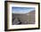 Wine Growing District La Geria, Lanzarote, Canary Islands, Spain, Atlantic, Europe-Markus Lange-Framed Photographic Print