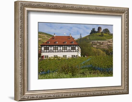 Wine-Growing Museum Hoflš§nitz and Bismarck Tower in the Vineyards in Radebeul Near Dresden-Uwe Steffens-Framed Photographic Print