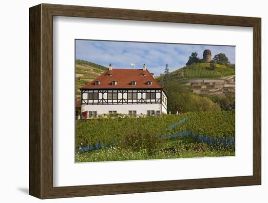 Wine-Growing Museum Hoflš§nitz and Bismarck Tower in the Vineyards in Radebeul Near Dresden-Uwe Steffens-Framed Photographic Print