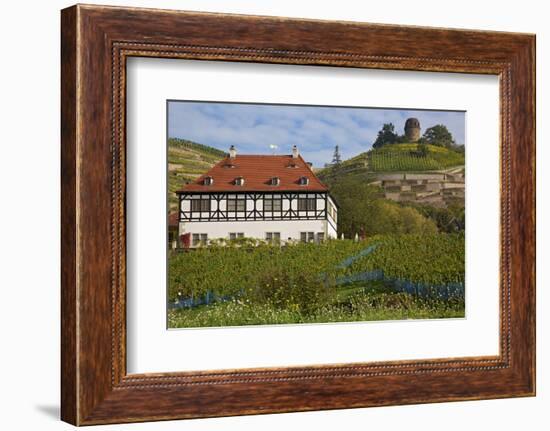 Wine-Growing Museum Hoflš§nitz and Bismarck Tower in the Vineyards in Radebeul Near Dresden-Uwe Steffens-Framed Photographic Print