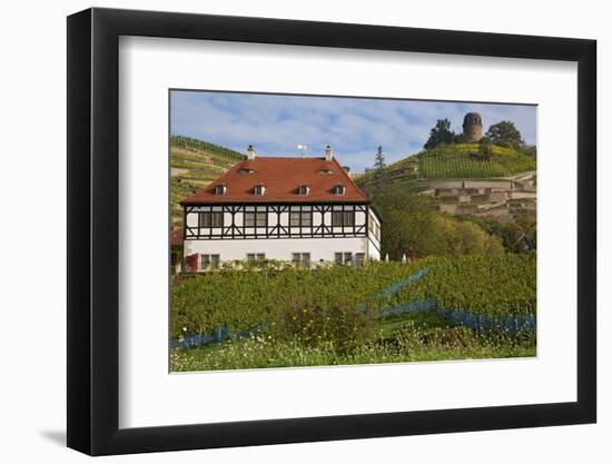 Wine-Growing Museum Hoflš§nitz and Bismarck Tower in the Vineyards in Radebeul Near Dresden-Uwe Steffens-Framed Photographic Print