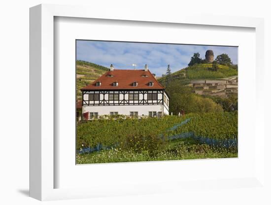 Wine-Growing Museum Hoflš§nitz and Bismarck Tower in the Vineyards in Radebeul Near Dresden-Uwe Steffens-Framed Photographic Print