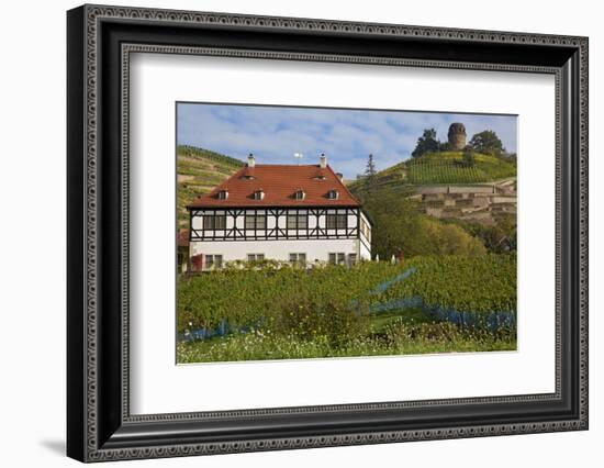 Wine-Growing Museum Hoflš§nitz and Bismarck Tower in the Vineyards in Radebeul Near Dresden-Uwe Steffens-Framed Photographic Print