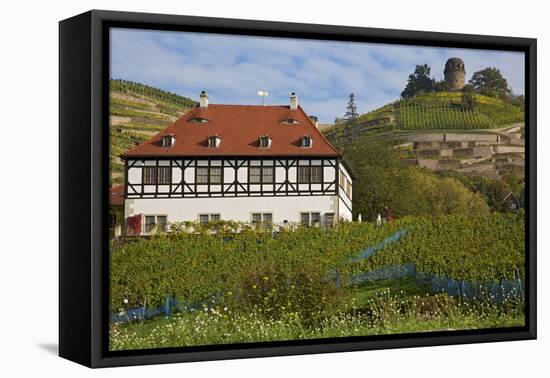 Wine-Growing Museum Hoflš§nitz and Bismarck Tower in the Vineyards in Radebeul Near Dresden-Uwe Steffens-Framed Premier Image Canvas