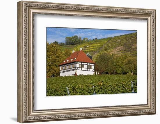 Wine-Growing Museum Hoflš§nitz in the Vineyards in Radebeul Near Dresden-Uwe Steffens-Framed Photographic Print