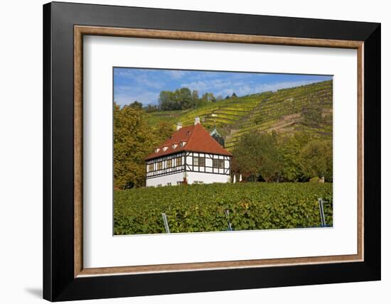 Wine-Growing Museum Hoflš§nitz in the Vineyards in Radebeul Near Dresden-Uwe Steffens-Framed Photographic Print