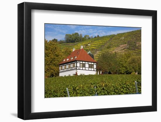 Wine-Growing Museum Hoflš§nitz in the Vineyards in Radebeul Near Dresden-Uwe Steffens-Framed Photographic Print