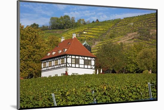 Wine-Growing Museum Hoflš§nitz in the Vineyards in Radebeul Near Dresden-Uwe Steffens-Mounted Photographic Print