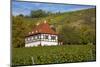 Wine-Growing Museum Hoflš§nitz in the Vineyards in Radebeul Near Dresden-Uwe Steffens-Mounted Photographic Print