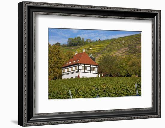 Wine-Growing Museum Hoflš§nitz in the Vineyards in Radebeul Near Dresden-Uwe Steffens-Framed Photographic Print