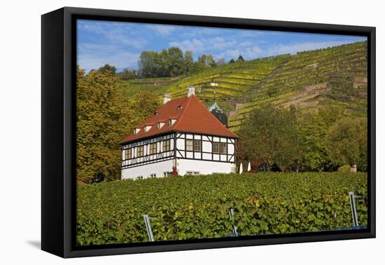 Wine-Growing Museum Hoflš§nitz in the Vineyards in Radebeul Near Dresden-Uwe Steffens-Framed Premier Image Canvas