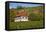 Wine-Growing Museum Hoflš§nitz in the Vineyards in Radebeul Near Dresden-Uwe Steffens-Framed Premier Image Canvas