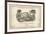 Wine Label II-The Vintage Collection-Framed Giclee Print