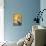 Wine Notes II-Jennifer Garant-Premium Giclee Print displayed on a wall