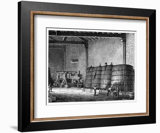 Wine Production, 19th Century-CCI Archives-Framed Photographic Print