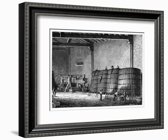 Wine Production, 19th Century-CCI Archives-Framed Photographic Print