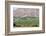 Wine Production in the Footills of the Andes, Valparaiso Region, Chile-Peter Groenendijk-Framed Photographic Print