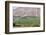 Wine Production in the Footills of the Andes, Valparaiso Region, Chile-Peter Groenendijk-Framed Photographic Print