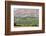 Wine Production in the Footills of the Andes, Valparaiso Region, Chile-Peter Groenendijk-Framed Photographic Print