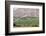 Wine Production in the Footills of the Andes, Valparaiso Region, Chile-Peter Groenendijk-Framed Photographic Print