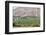 Wine Production in the Footills of the Andes, Valparaiso Region, Chile-Peter Groenendijk-Framed Photographic Print